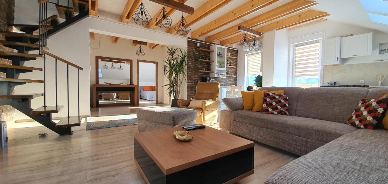 Hoobee Home & Rooftop Terrace Târgu-Mureş 外观 照片
