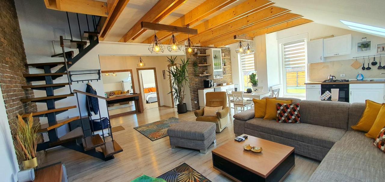 Hoobee Home & Rooftop Terrace Târgu-Mureş 外观 照片