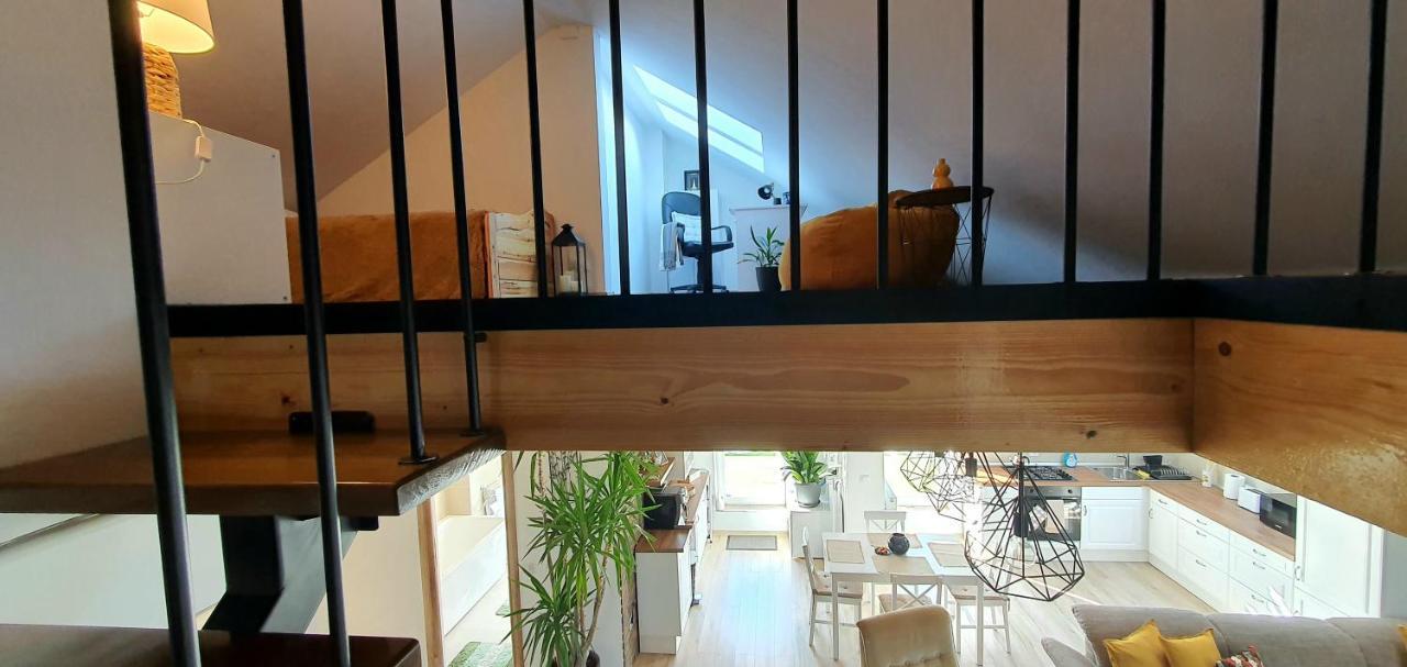Hoobee Home & Rooftop Terrace Târgu-Mureş 外观 照片