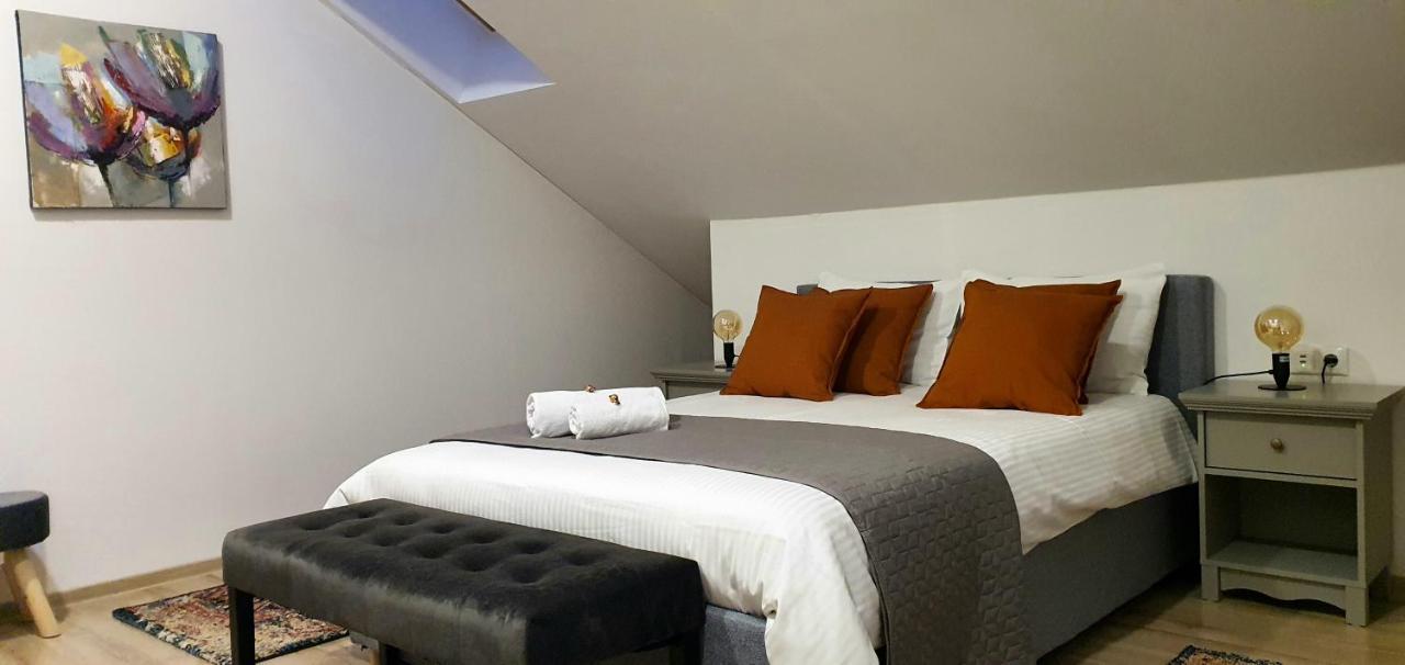 Hoobee Home & Rooftop Terrace Târgu-Mureş 外观 照片